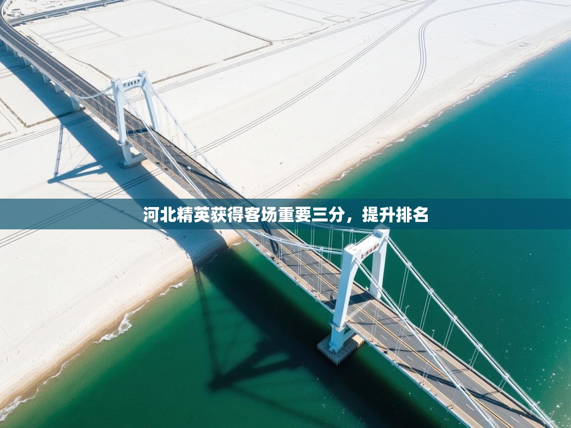 河北精英获得客场重要三分，提升排名  第1张