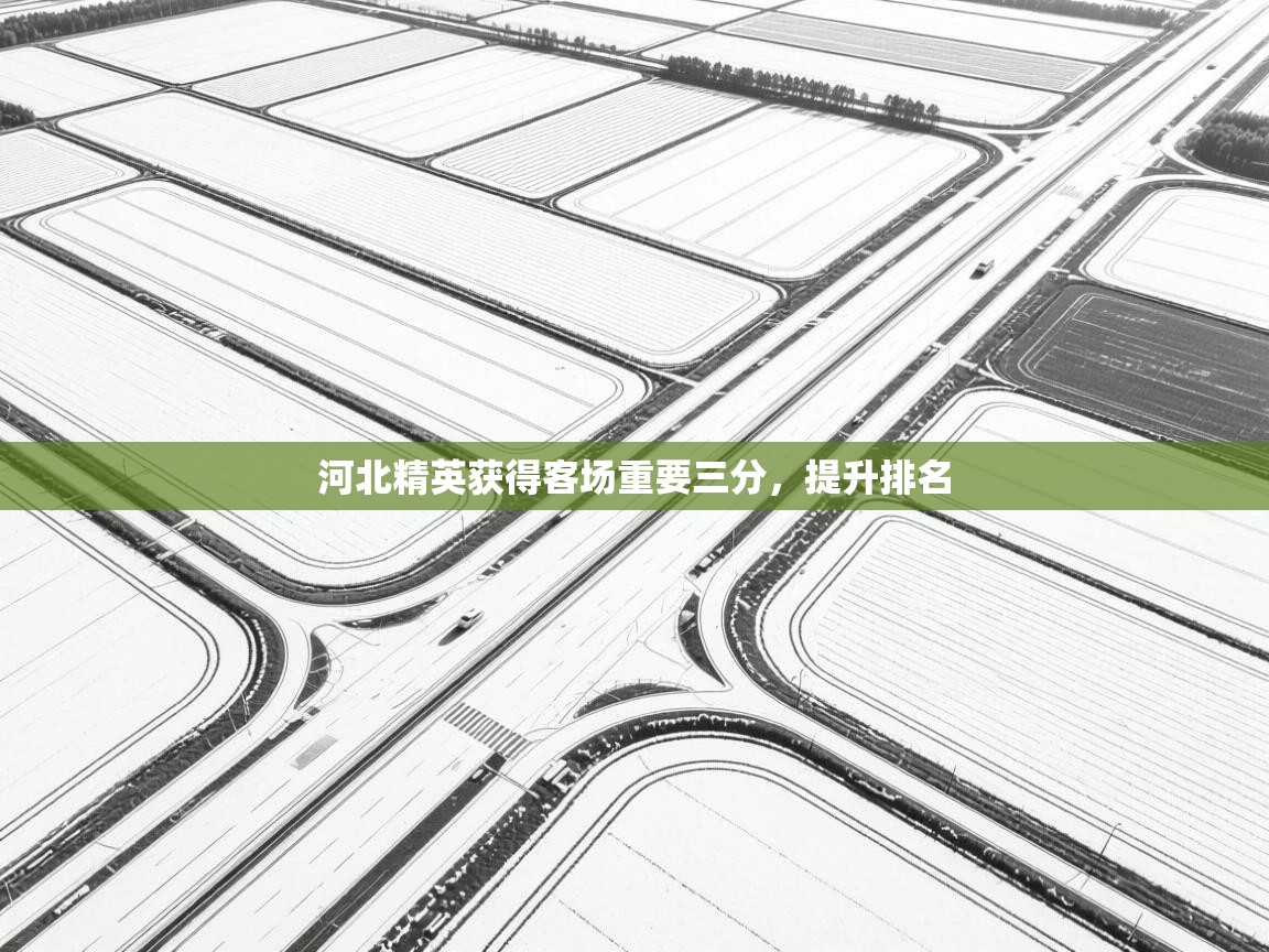 河北精英获得客场重要三分，提升排名  第2张