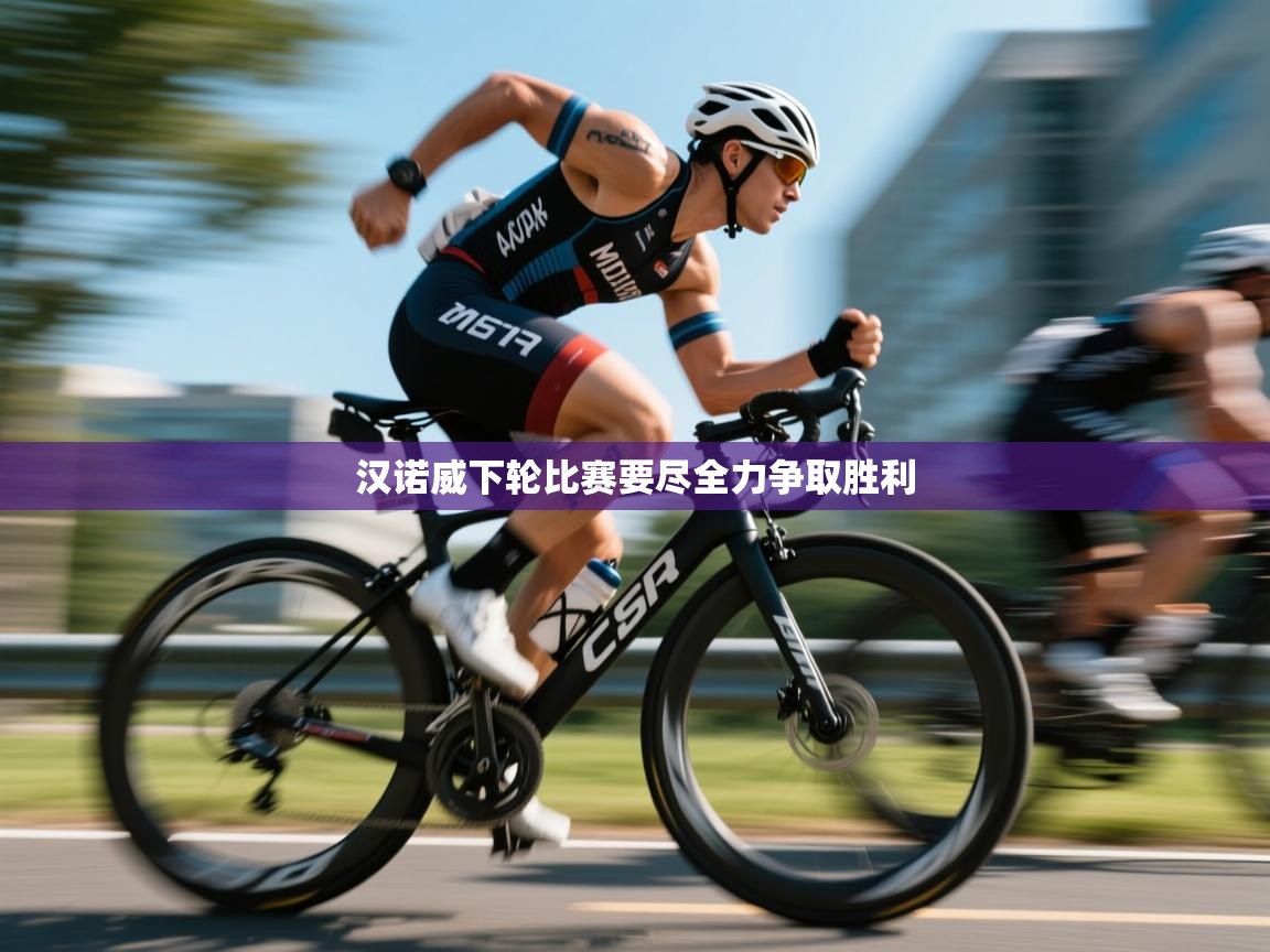 汉诺威下轮比赛要尽全力争取胜利  第2张