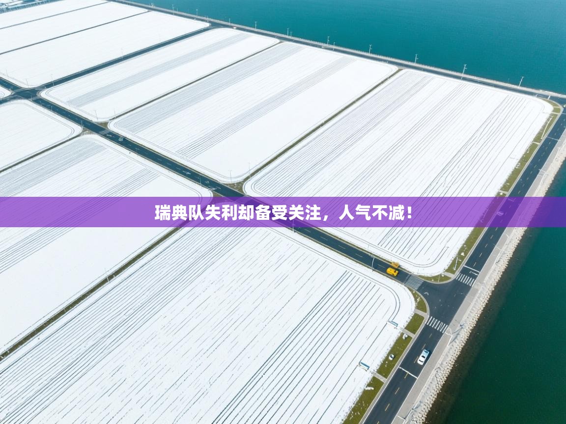 瑞典队失利却备受关注,人气不减! 第1张