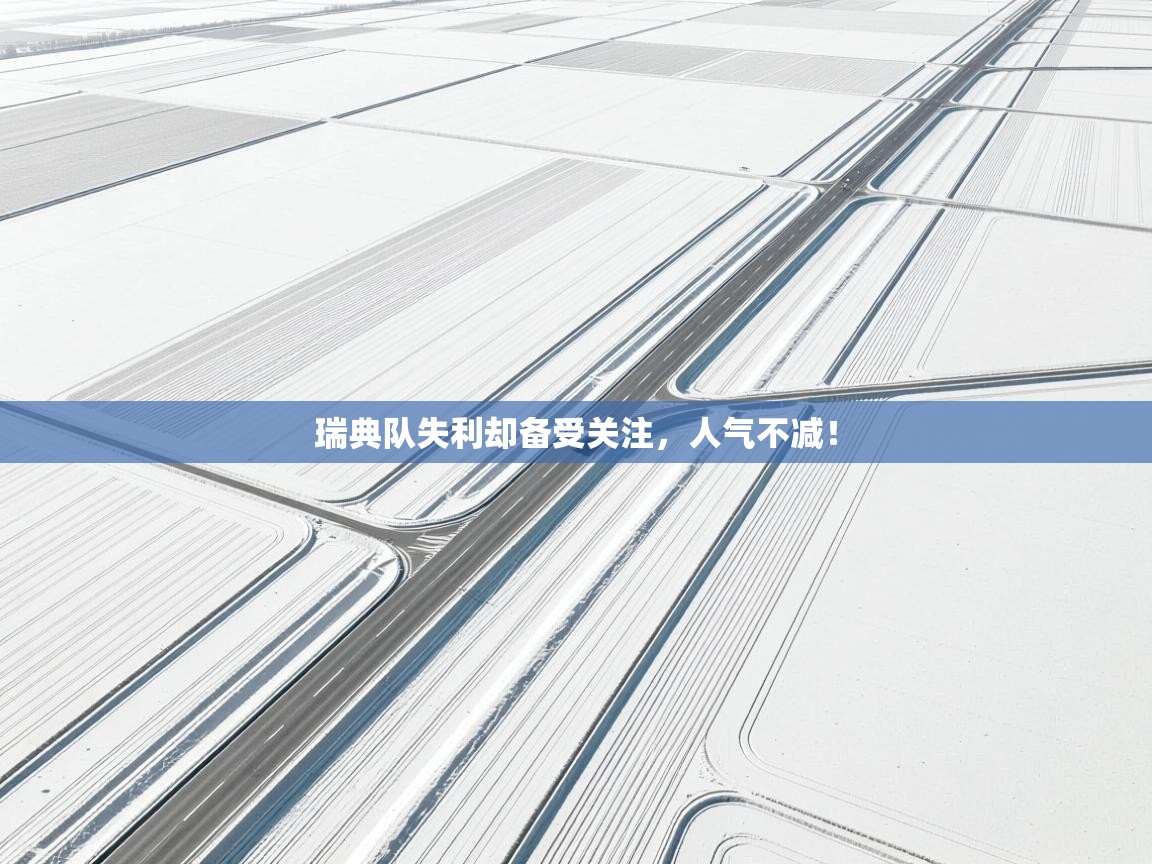 瑞典队失利却备受关注,人气不减! 第2张