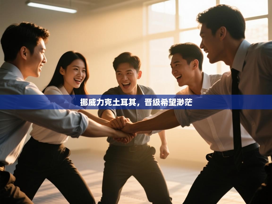 挪威力克土耳其,晋级希望渺茫 第1张